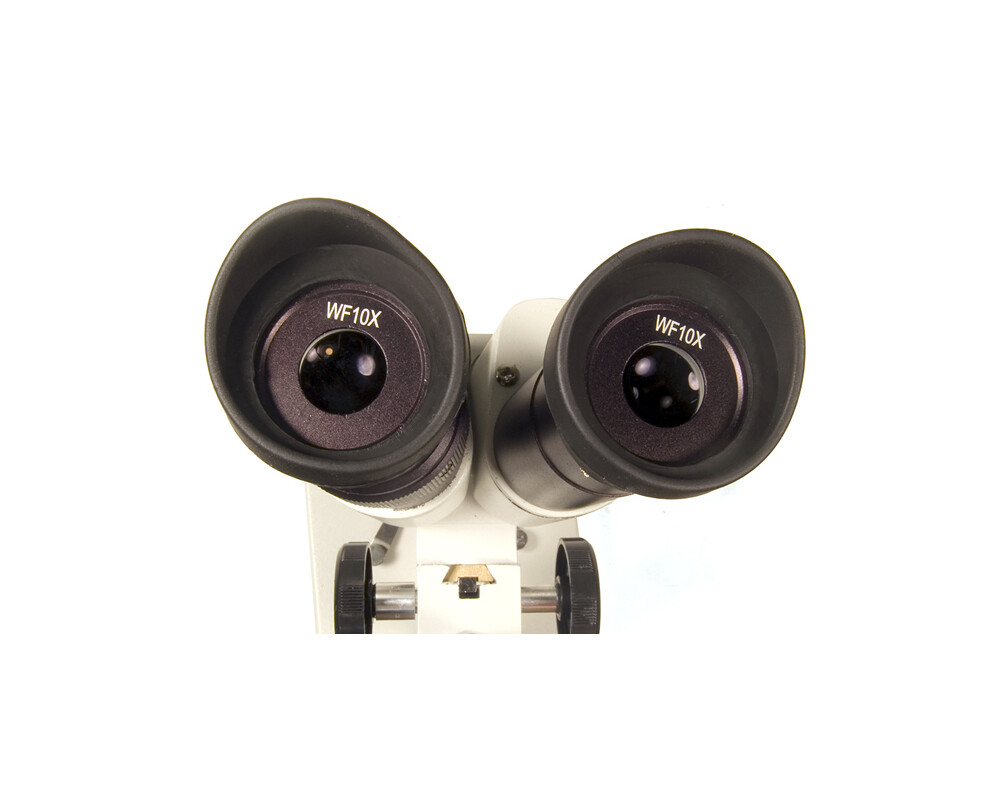 Микроскоп Levenhuk 2ST 22