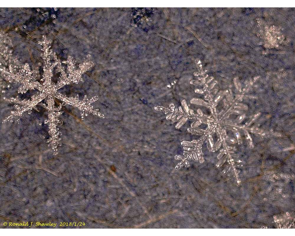 Микроскоп Течнокристален цифров Levenhuk DTX 500 16