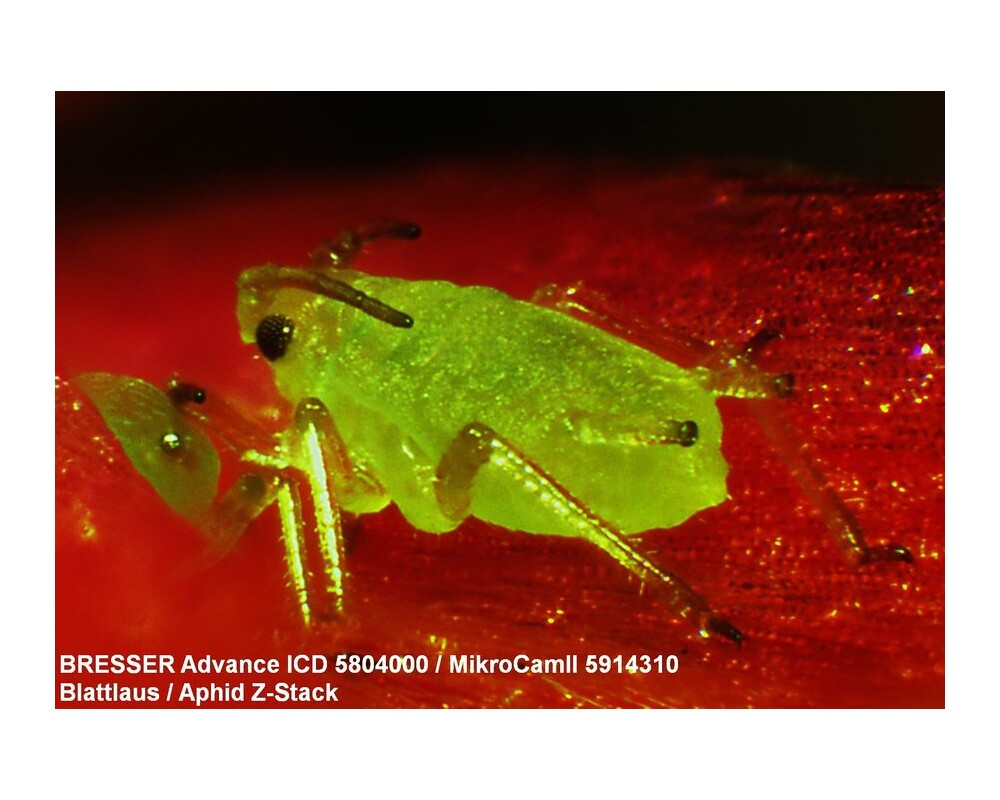 Микроскоп Bresser Advance ICD 10–160x 45