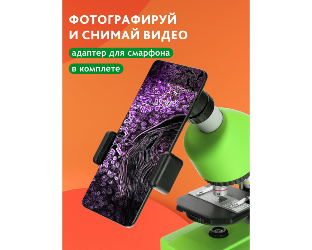 Микроскоп Bresser Junior 40–640x 72