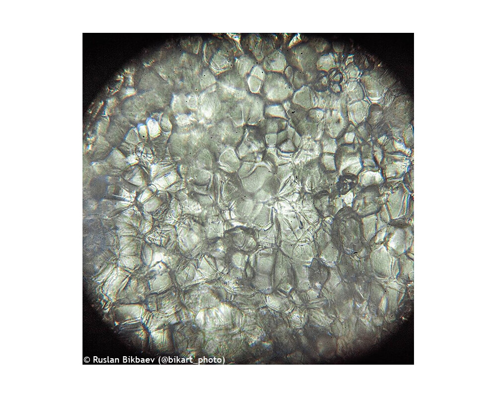 Микроскоп Levenhuk Rainbow 50L PLUS 78