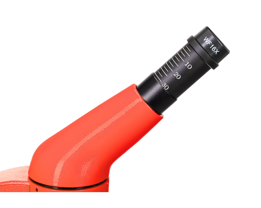 Микроскоп Levenhuk Rainbow 50L PLUS 65