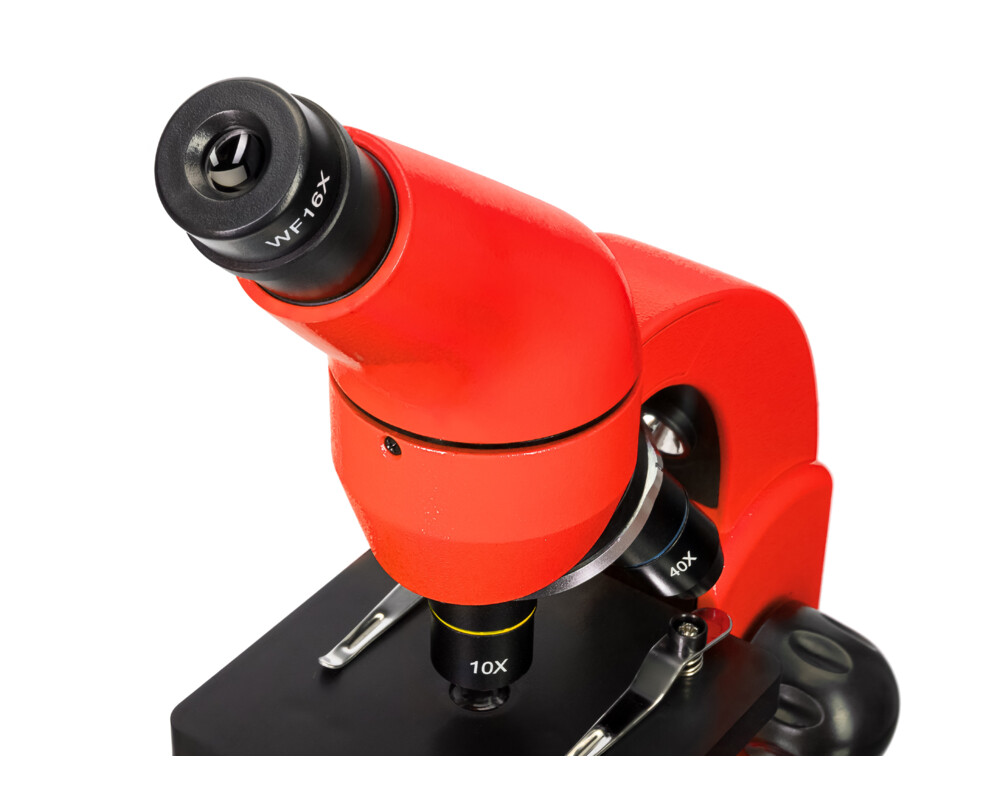 Микроскоп Levenhuk Rainbow 50L PLUS 111