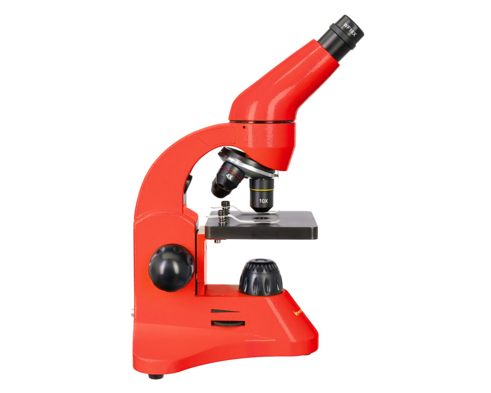 Микроскоп Levenhuk Rainbow 50L PLUS 34