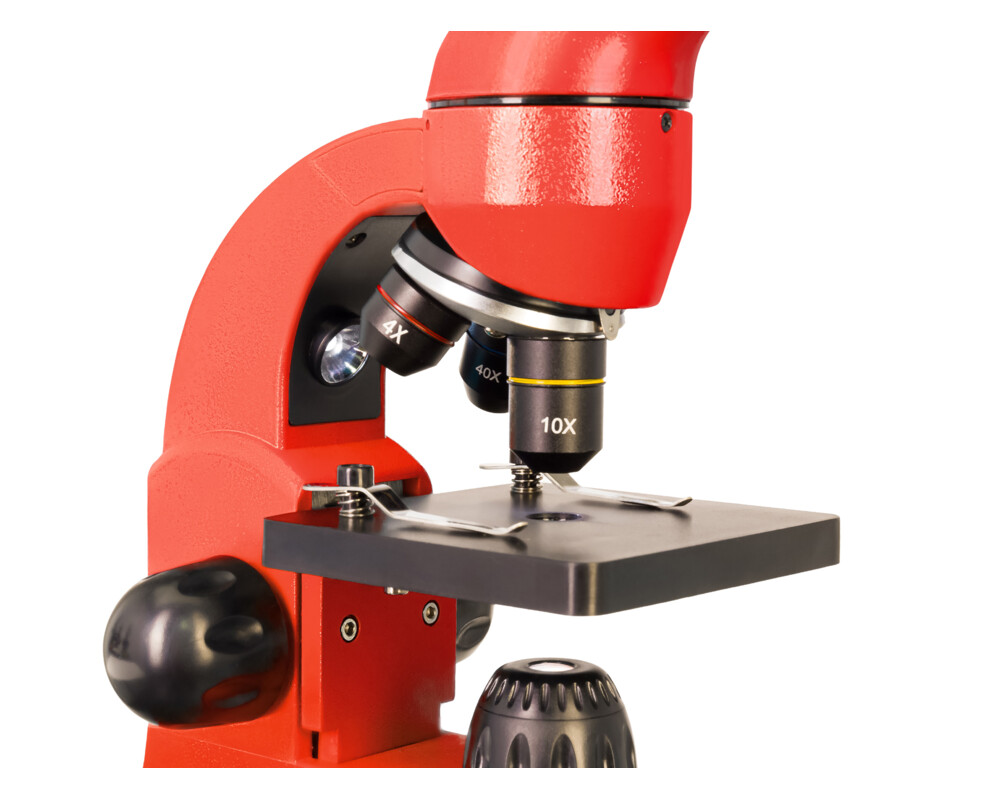 Микроскоп Levenhuk Rainbow 50L PLUS 108