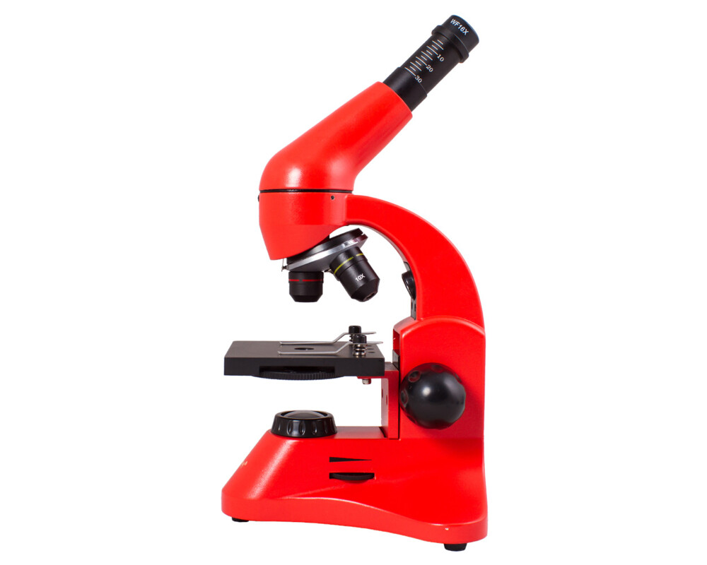 Микроскоп Levenhuk Rainbow 50L PLUS 3