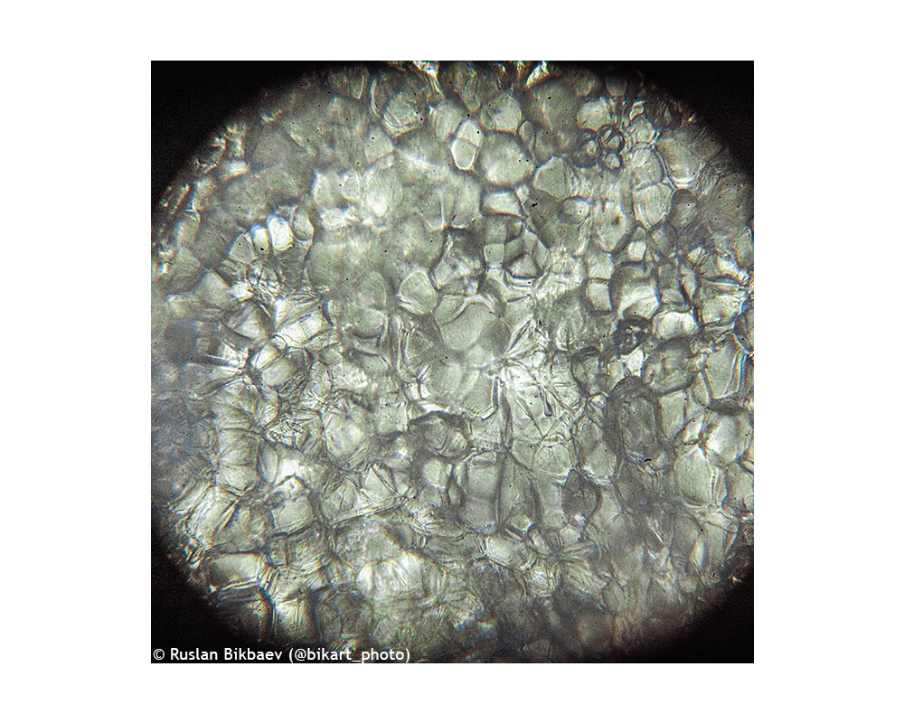 Микроскоп Levenhuk Rainbow 50L PLUS 76