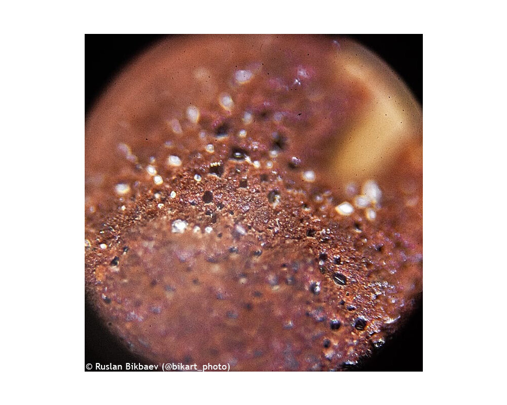 Микроскоп Levenhuk Rainbow 50L PLUS 78