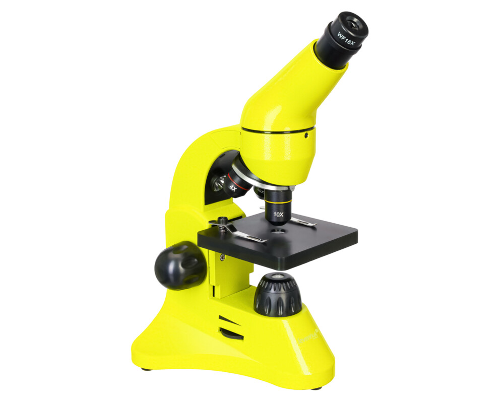 Микроскоп Levenhuk Rainbow 50L PLUS 58