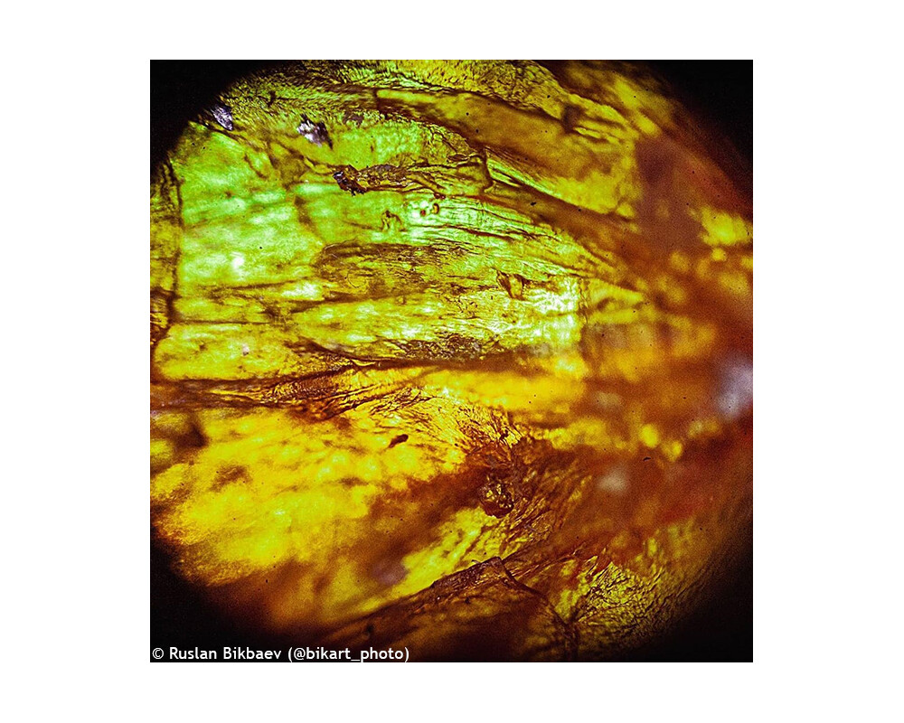 Микроскоп Levenhuk Rainbow 50L PLUS 110