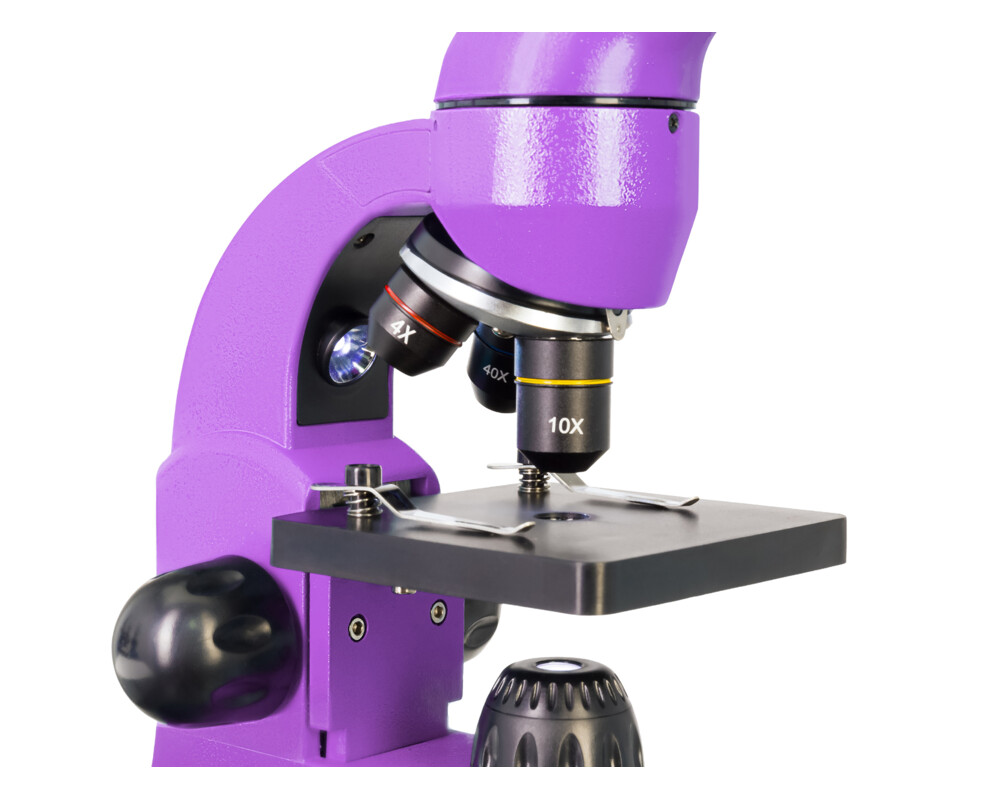 Микроскоп Levenhuk Rainbow 50L PLUS 67