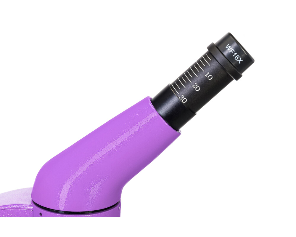 Микроскоп Levenhuk Rainbow 50L PLUS 65