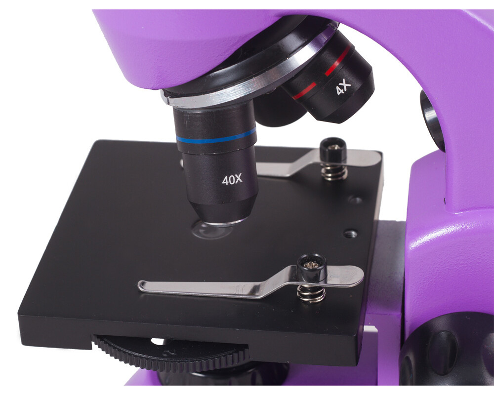 Микроскоп Levenhuk Rainbow 50L PLUS 8