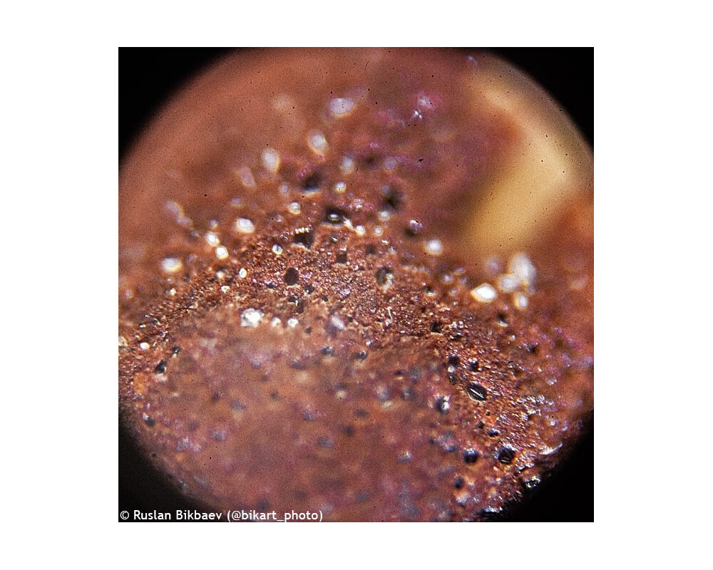 Микроскоп Levenhuk Rainbow 50L PLUS 80