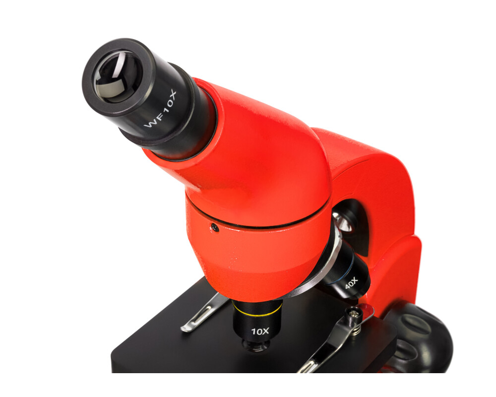 Микроскоп Levenhuk Rainbow 50L 56