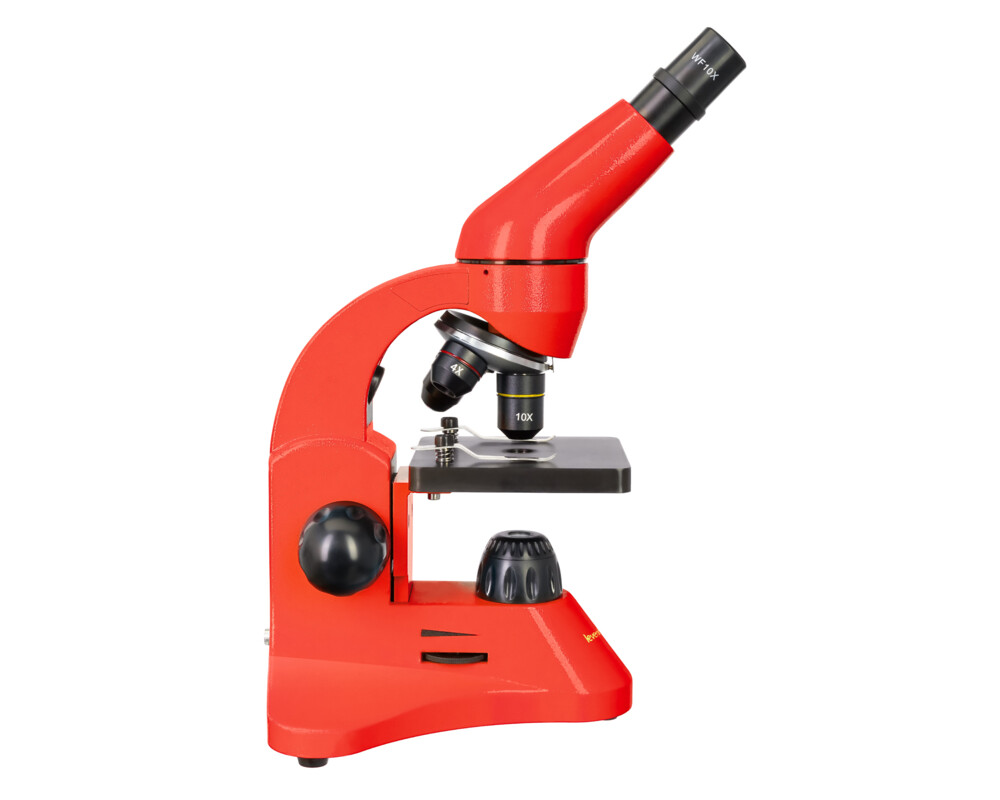 Микроскоп Levenhuk Rainbow 50L 34