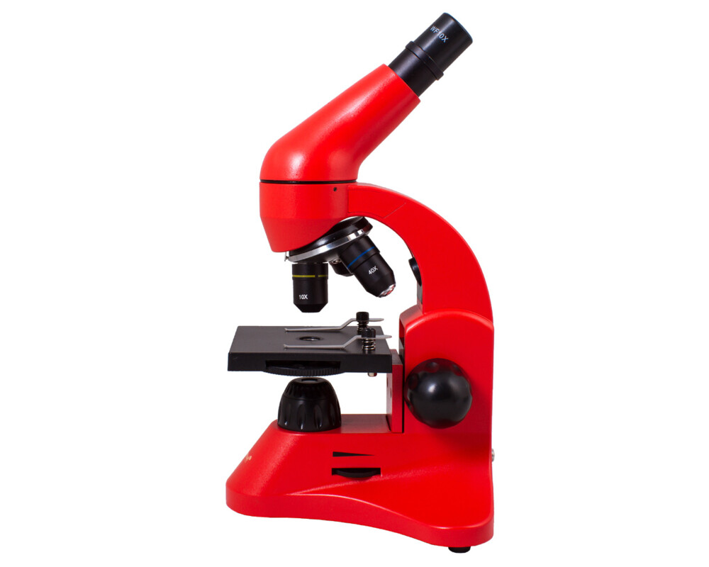 Микроскоп Levenhuk Rainbow 50L 3