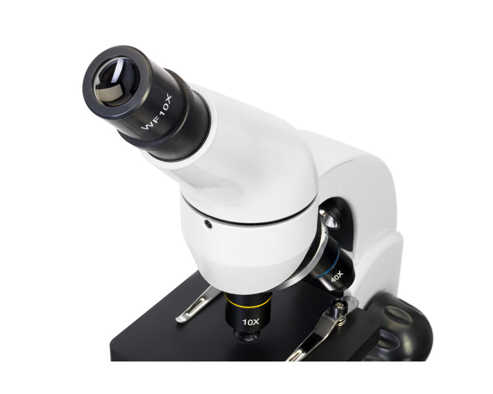 Микроскоп Levenhuk Rainbow 50L 35