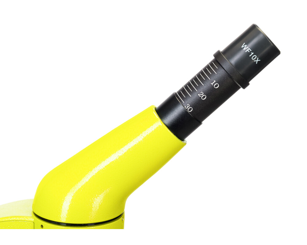 Микроскоп Levenhuk Rainbow 50L 36
