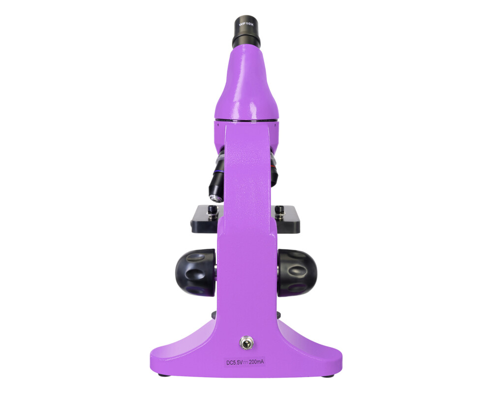 Микроскоп Levenhuk Rainbow 50L 31
