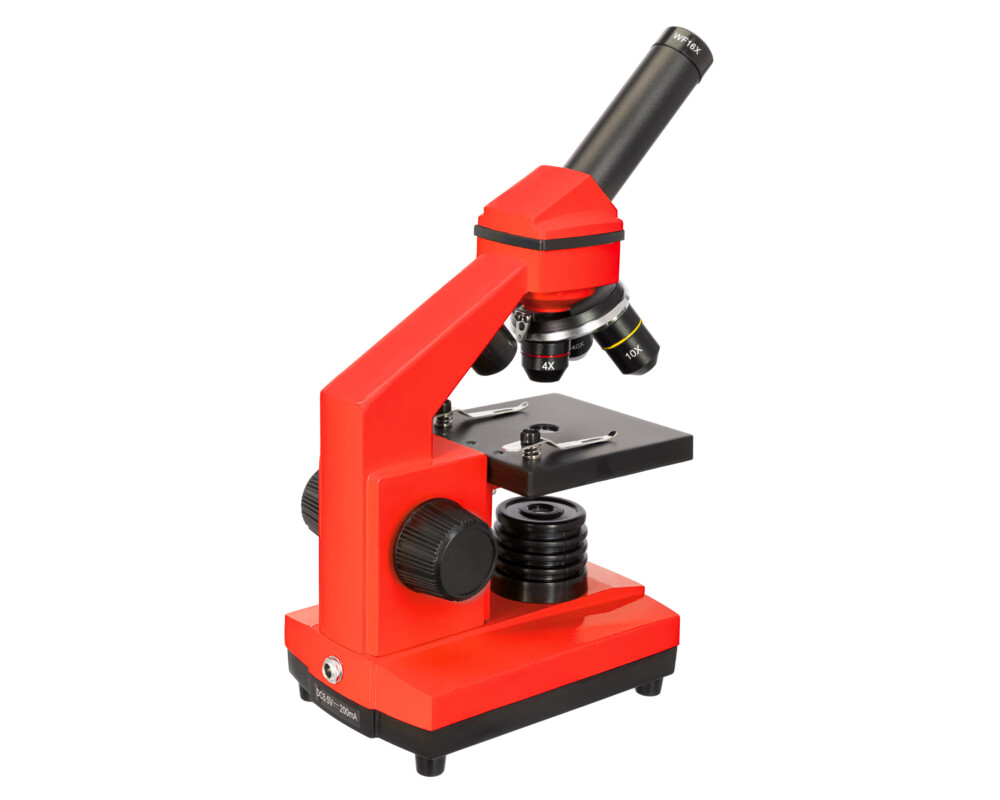 Микроскоп Levenhuk Rainbow 2L PLUS 28