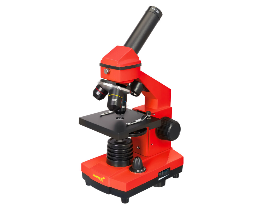 Микроскоп Levenhuk Rainbow 2L PLUS 37