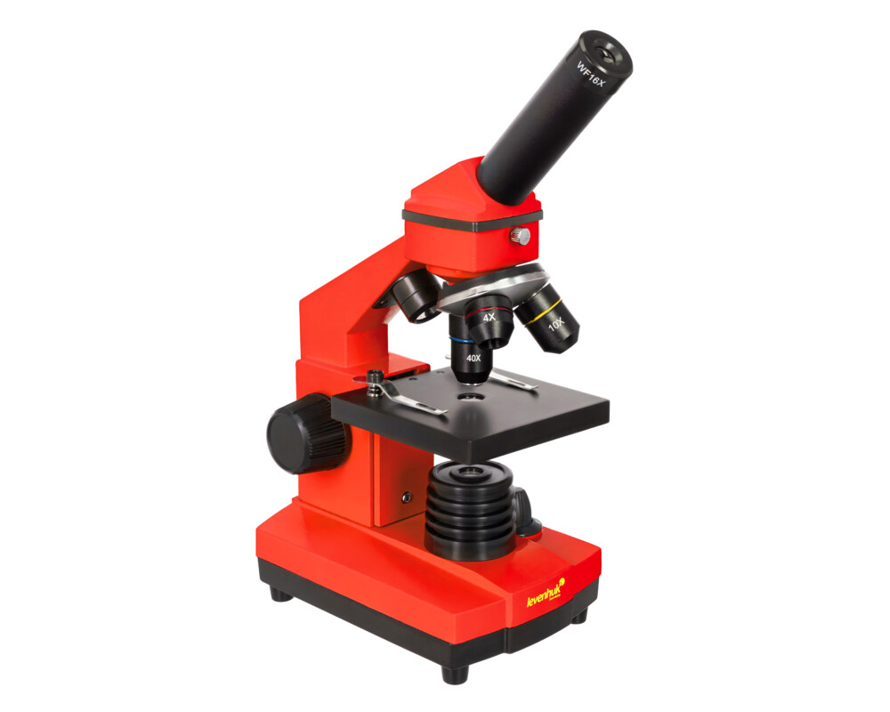 Микроскоп Levenhuk Rainbow 2L PLUS 41