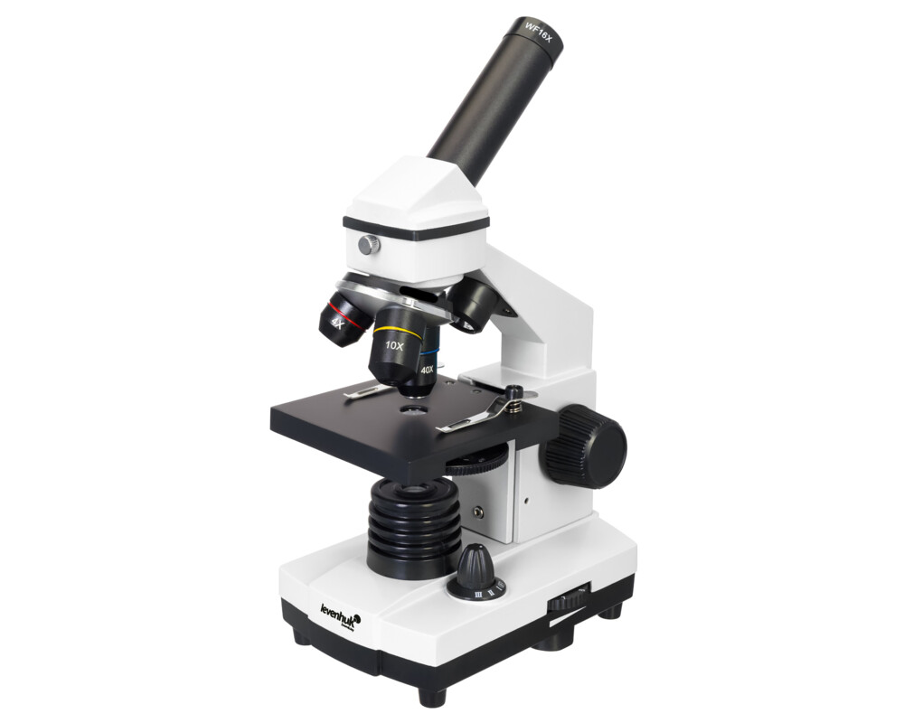 Микроскоп Levenhuk Rainbow 2L PLUS 33