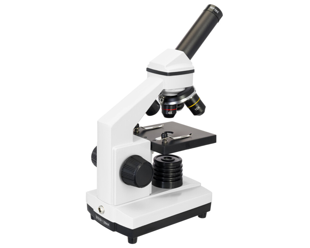 Микроскоп Levenhuk Rainbow 2L PLUS 60