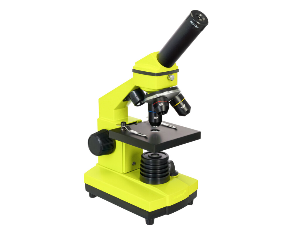 Микроскоп Levenhuk Rainbow 2L PLUS 31
