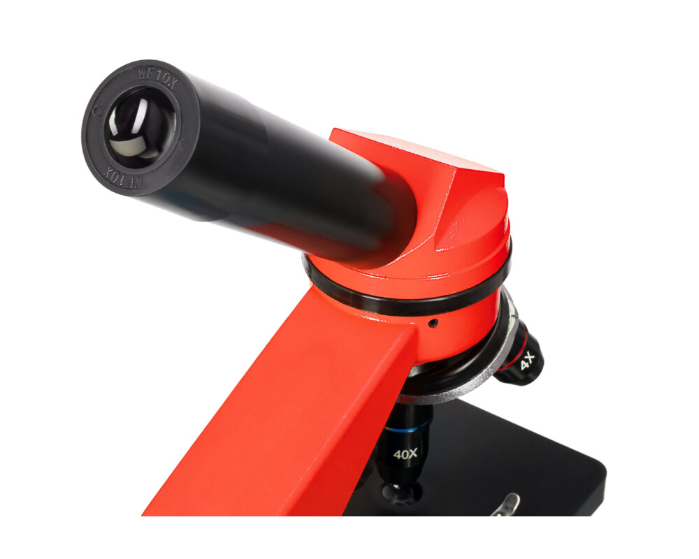 Микроскоп Levenhuk Rainbow 2L 28