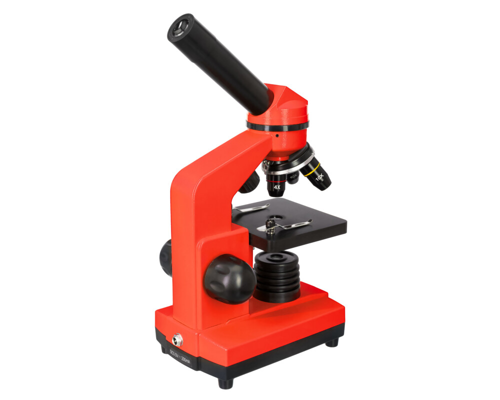 Микроскоп Levenhuk Rainbow 2L 26