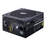 <span>Захранване</span> CM V750W V2 GOLD <span class='catalog-num-in-name'>MPY-750V-AFBAG-EU</span> - 
