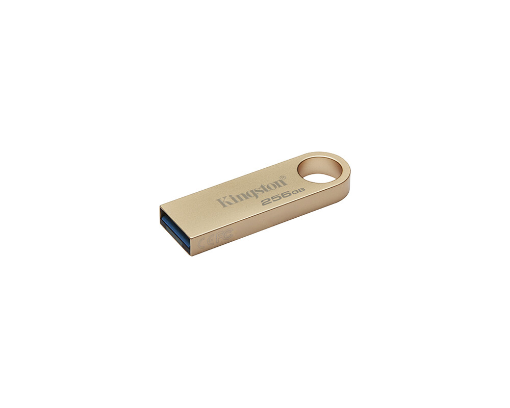 Флаш памет KINGSTON 256GB 220MB 8