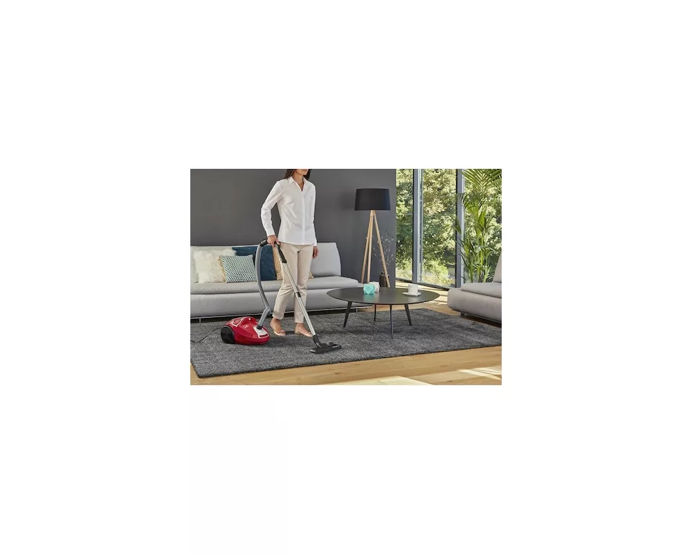 Прахосмукачка Rowenta RO3953EA 9