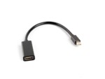 <span>Адаптери</span> Lanberg adapter display port mini (m) -> HDMI (f) <span class='catalog-num-in-name'>AD-0005-BK</span> - 