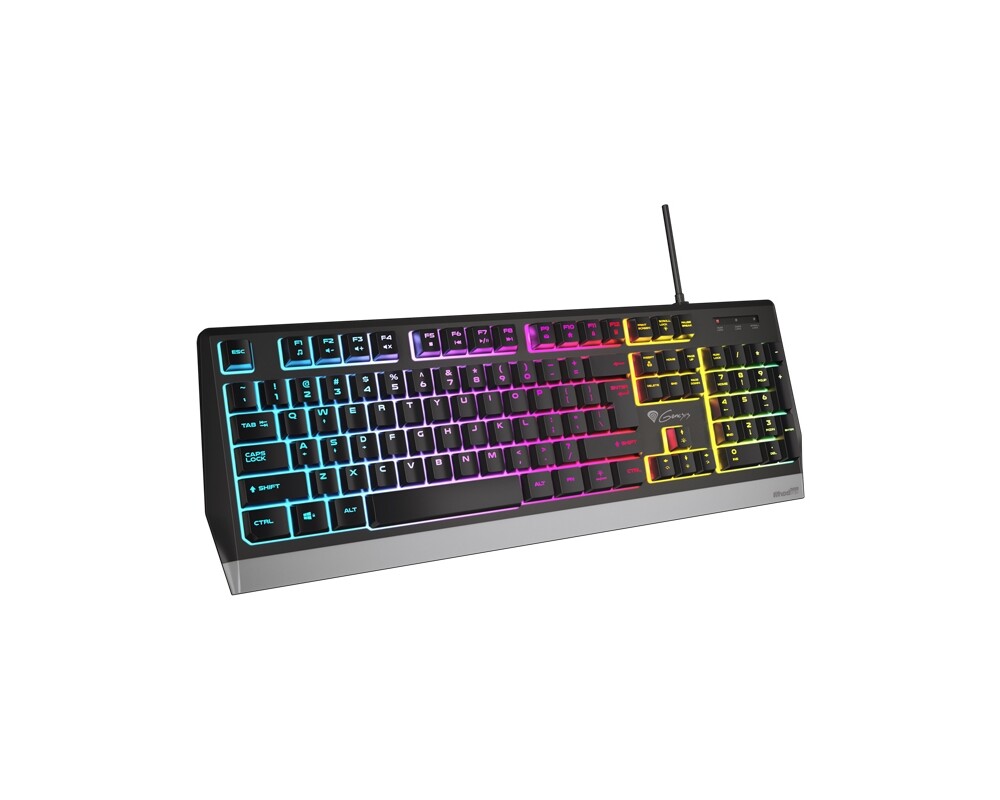 Клавиатура Genesis Gaming Keyboard Rhod 300 US Layout 2