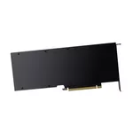 Видеокарта PNY NVIDIA A100 Module 80GB HBM2 PCIe 4.0 x16 2
