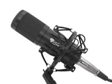  Genesis Microphone Radium 300 Studio XLR ARM Popfilter 224763 NGM-1695 на топ цена - PIC.bg