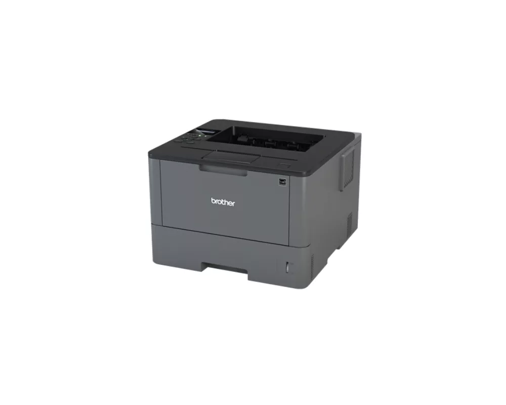 Принтер Brother HL-L5000D Laser Printer 2