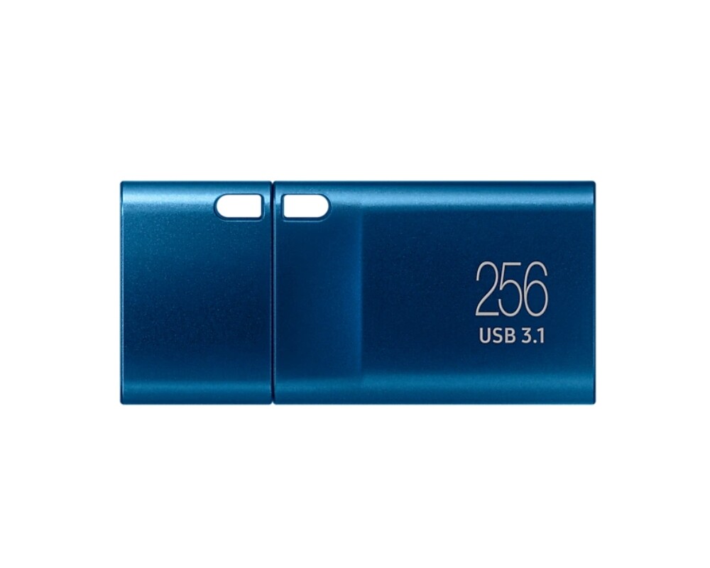 Флаш памет Samsung 256 GB Flash Drive 4