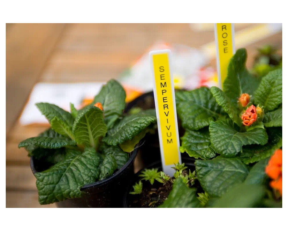 Хартия Brother TZe-631 Tape Black on Yellow 2