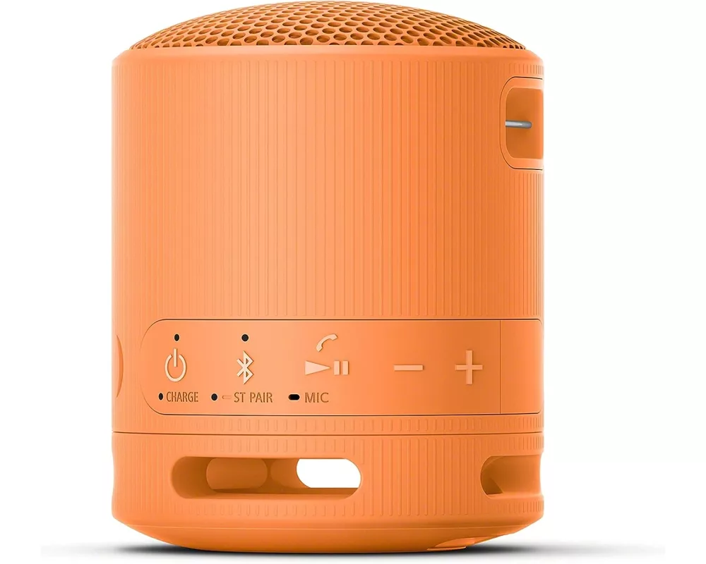 Тонколони Sony SRS-XB100 Portable Bluetooth Speaker 2