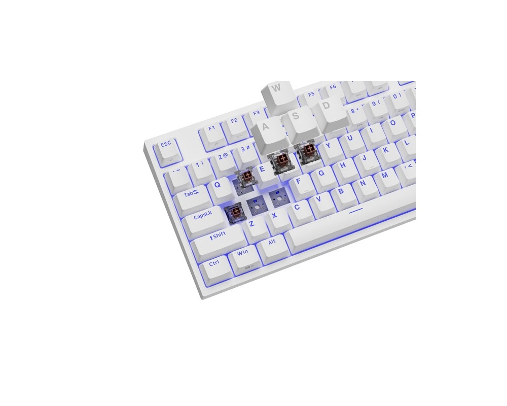 Клавиатура Genesis Gaming Keyboard Thor 404 TKL White RGB Backlight US Layout Brown Switch 2