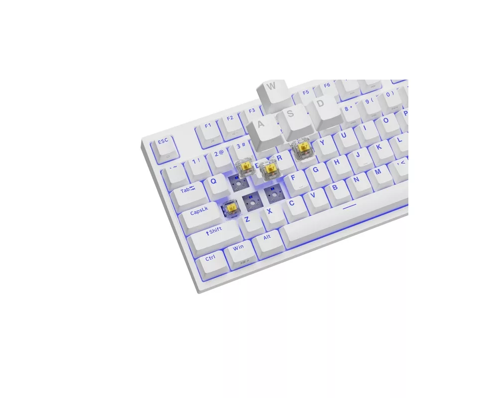 Клавиатура Genesis Gaming Keyboard Thor 404 TKL White RGB Backlight US Layout Yellow Switch 2