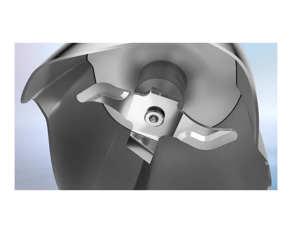 Пасатор Bosch MSM6M820 3