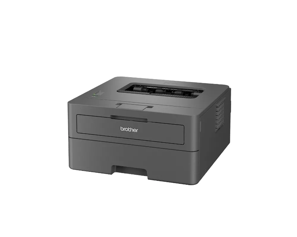 Принтер Brother HL-L2402D Laser Printer 3