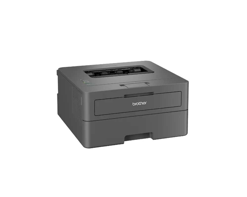 Принтер Brother HL-L2402D Laser Printer 2