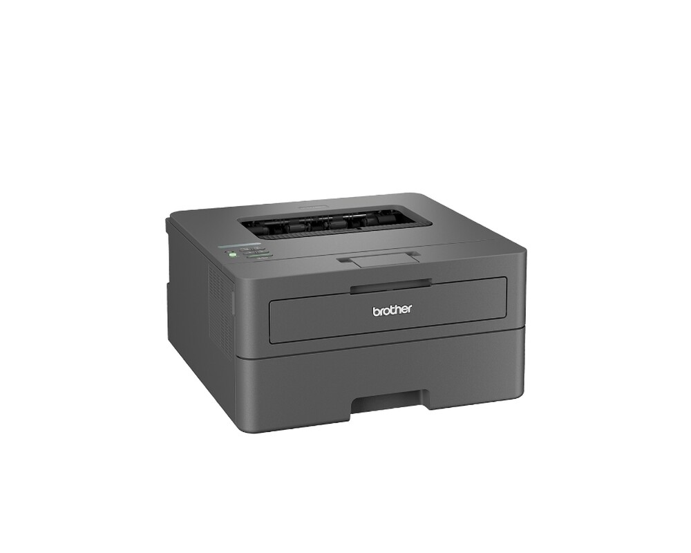 Принтер Brother HL-L2442DWYJ1 Laser Printer 5