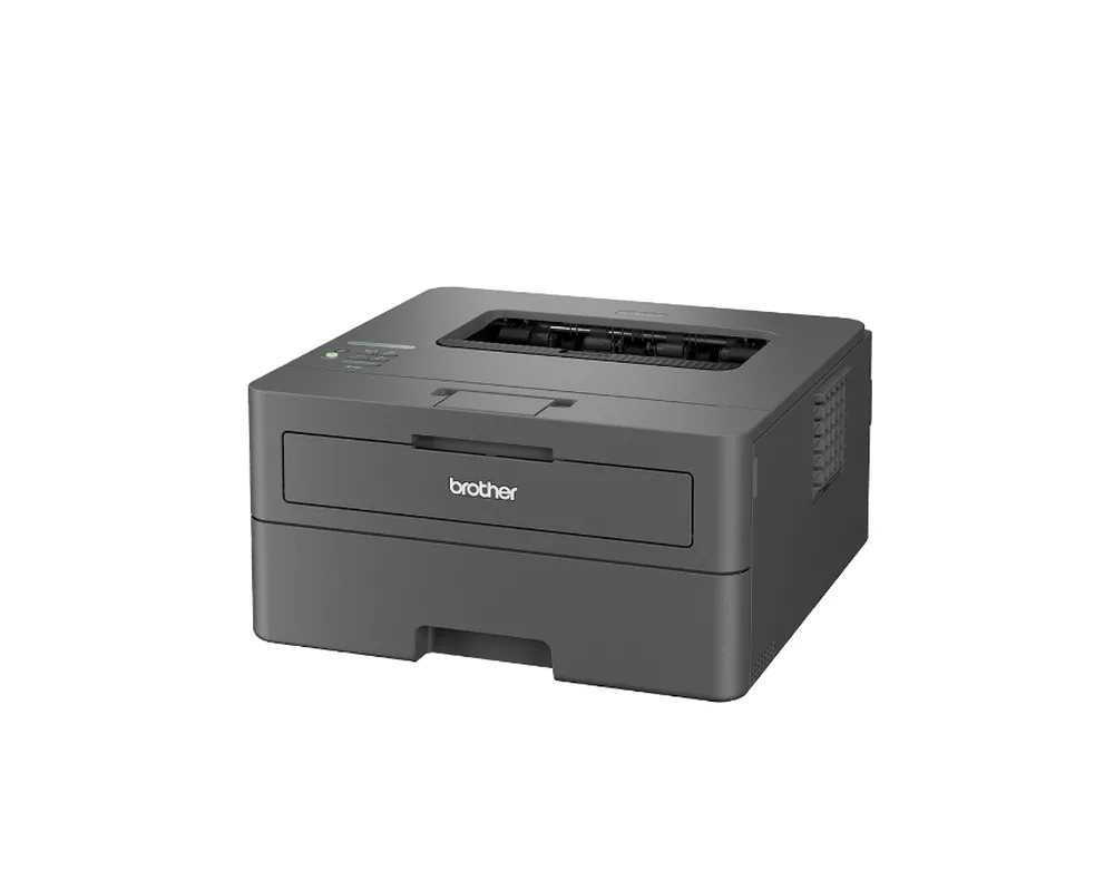 Принтер Brother HL-L2442DWYJ1 Laser Printer 2